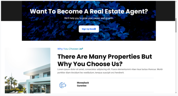 Real Estate Website - Image 2